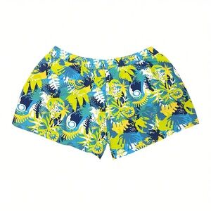 Patagonia Barely Baggies Shorts 2.5" Wild Waratah Tasmanian Teal